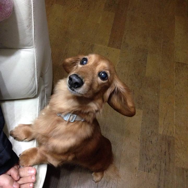 8ea65403 6e26 47fe be8f ea51902b0175