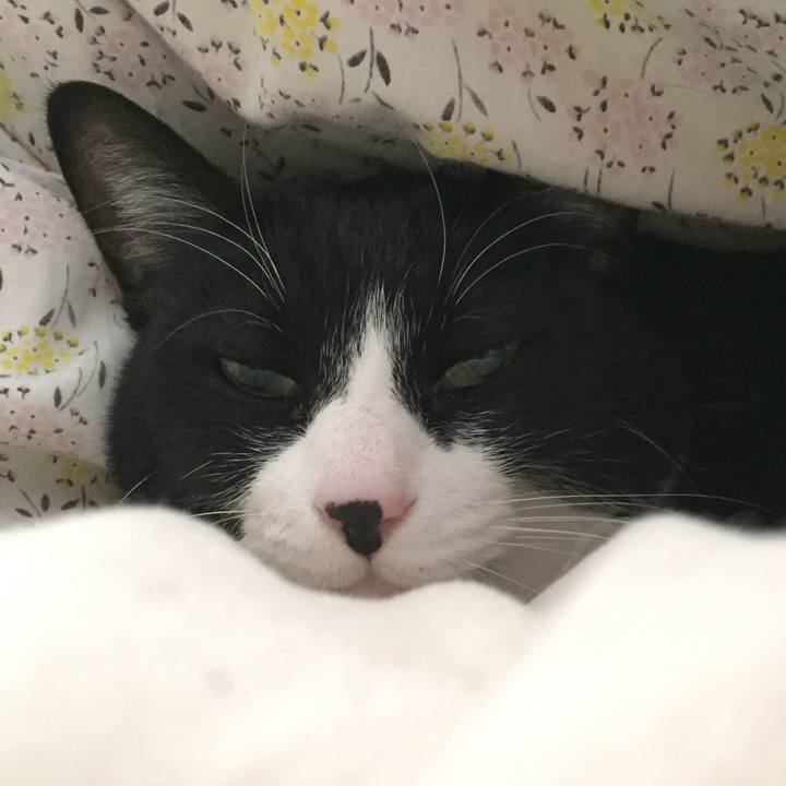 8ea6aa2c 9409 4b73 9654 023b1bacec34