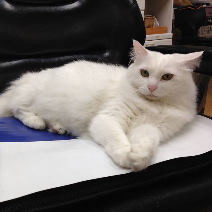 8ea778a8 e4f2 441a a305 db0d4b03c6d7