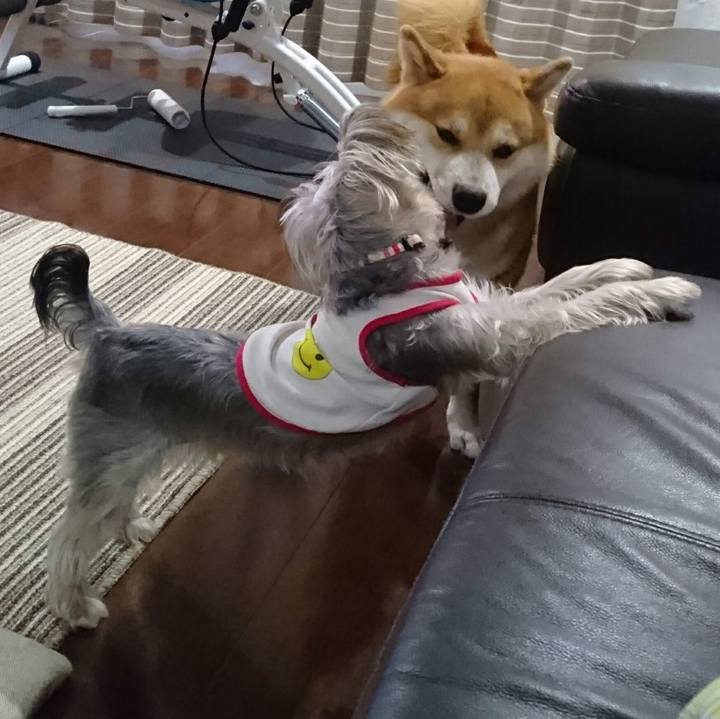 8ea83348 5c9c 4b08 9965 62fe6211d8d6