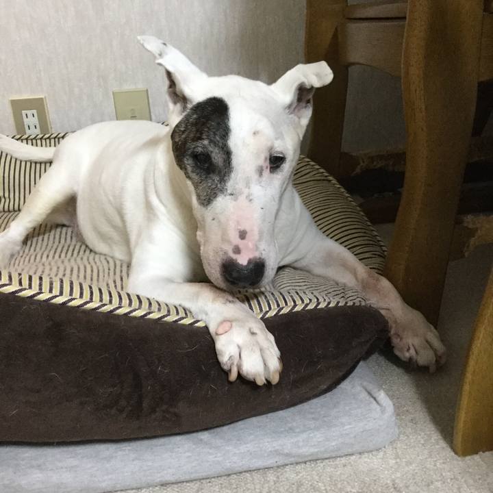 8ea9ab3a bfda 46aa 860a 7aee621f342c