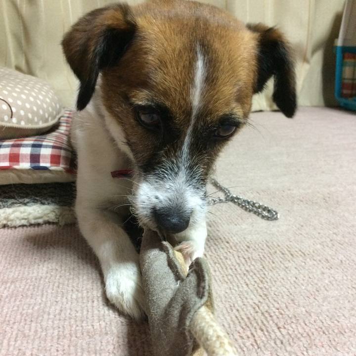 8ea9f15a 12f8 4047 9ed6 b0f29adf28a6