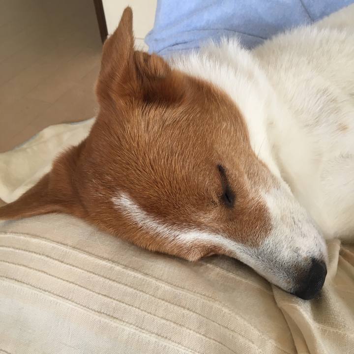 8ea9f5c2 d07d 4393 bd31 9957f558e173