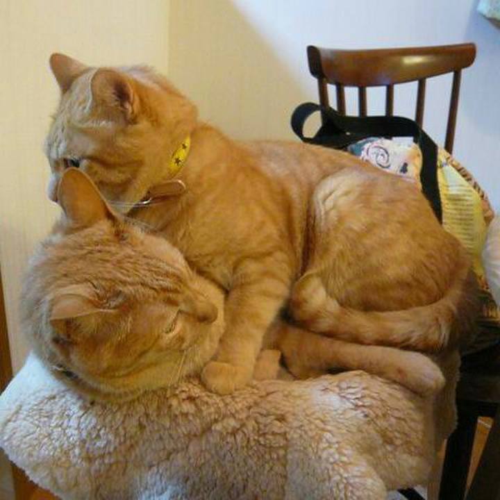 8eaa6bd2 d03a 4e8c 904e dd96337ffb49