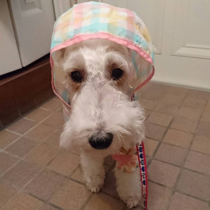 8eaa71ae 7f94 416d b4e7 402b6b6edcea