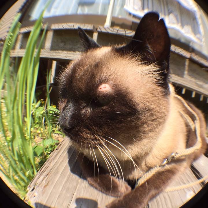 8eaa9932 f7f9 4723 a313 08fe09b949ab