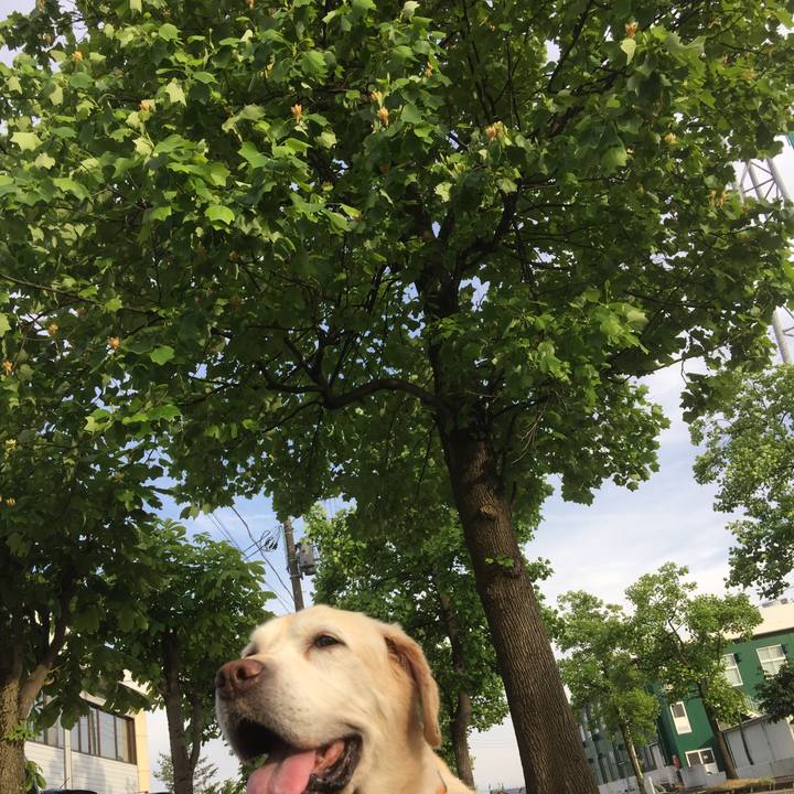 8eaaa86d 8d17 43b8 8aa3 c08346283713