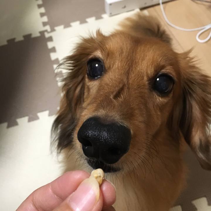 8eab843b 7d35 4429 bafd 9f6fccb4df1d