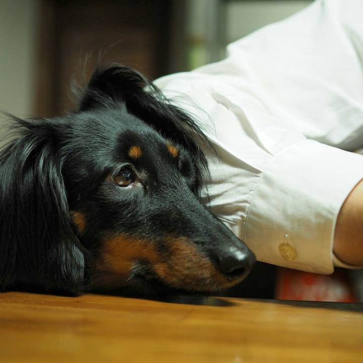 8eabcf99 3edf 4333 8450 8298ab5bdffc