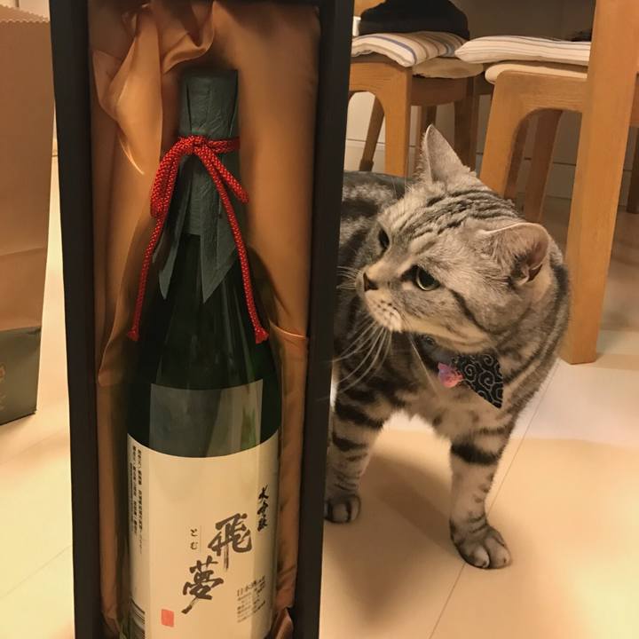 8eabe1e9 fb4d 4f66 8fd5 66db00be15cc