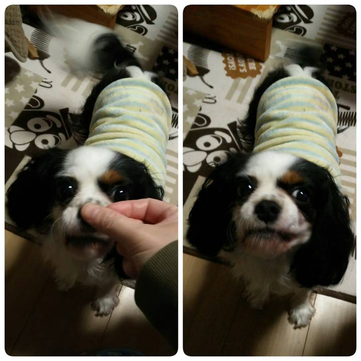 8eac35ae 0020 45df a61b 90b3bc3c6ee2