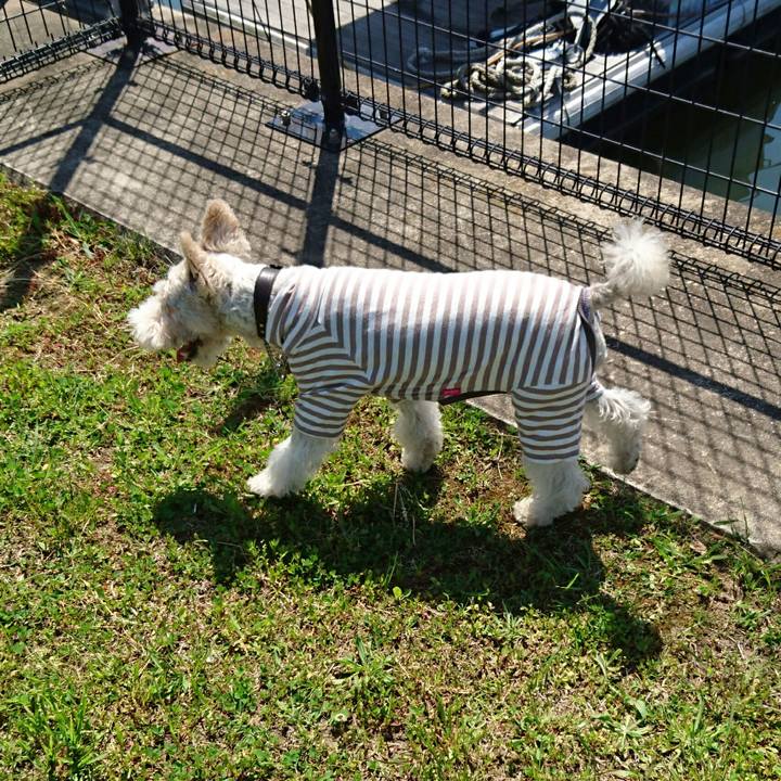 8eac3a90 1bbd 4c91 b7c4 2e9dc5458b81