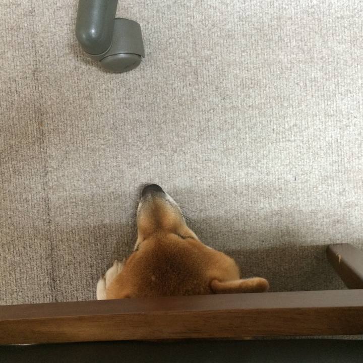 8eac3fe6 2e33 4263 a5fe 23213083ae29