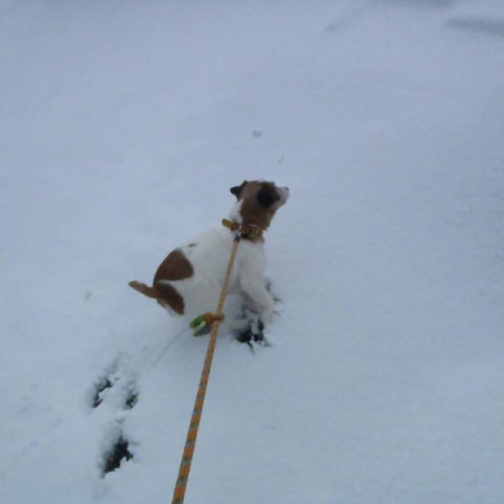 8ead9d5b 9971 4de6 9a64 bbe062c2e833