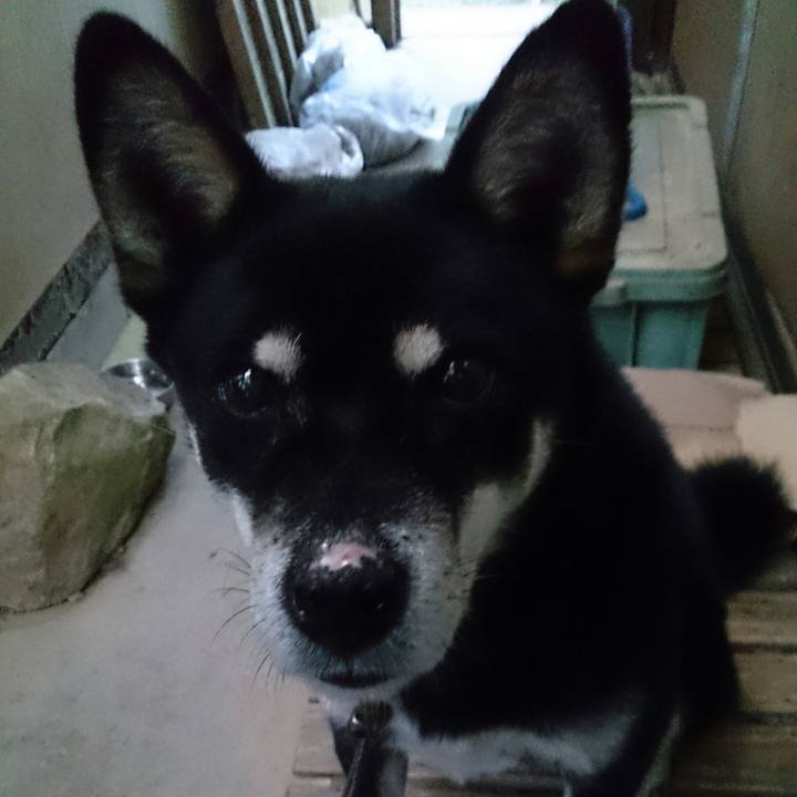 8eadaded 52df 4612 8ee5 d1c2bc3693ad