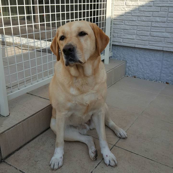 8eade8bf 5c05 410b 9dbf ec12c357912a