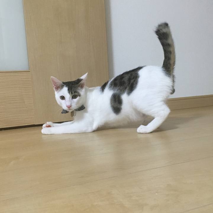 8eadfe20 2e9a 49bb 961c 20f99e95cb07