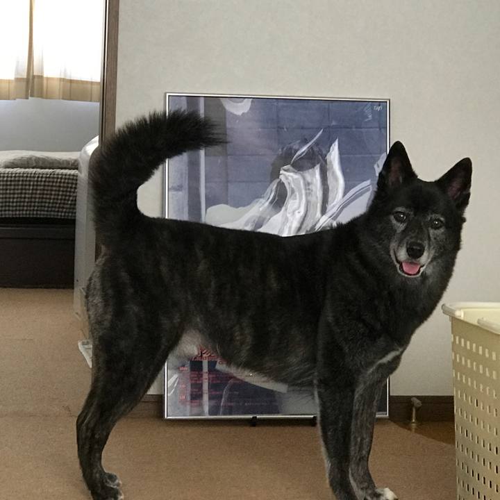 8eaf7727 b2b1 4e15 abb0 26e7b6463286