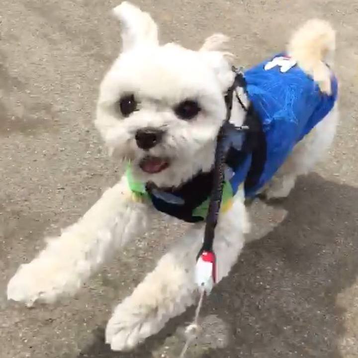 8eafc673 94dc 4827 b7fe b0e32a28759d