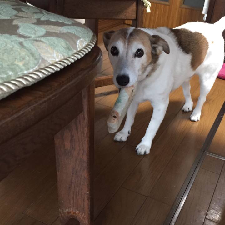 8eafccc0 ce8d 433a 9b8f 05fb66c33006