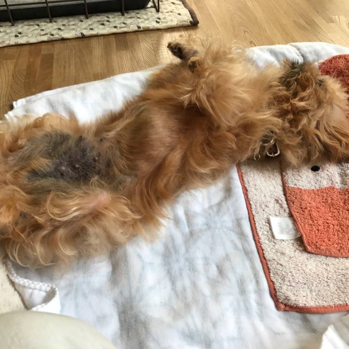 8eb02e8d 4e4e 4ca8 b5aa 24fe0b0447ec