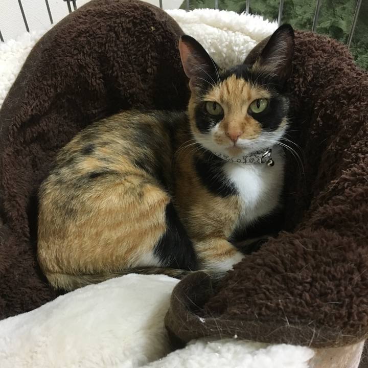 8eb0748e db35 4f5d a83f ff1ef7281a04