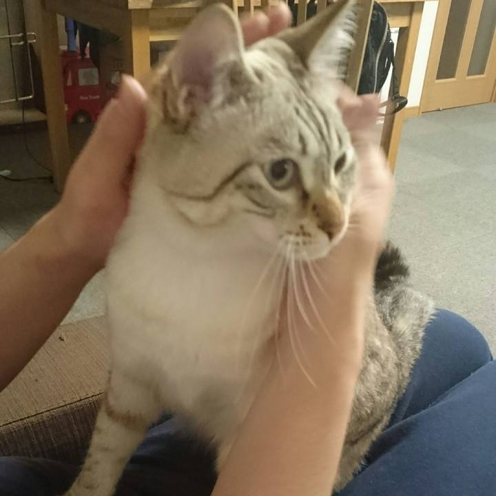 8eb0a7e7 c596 406d bdb3 9fbba9e482f2