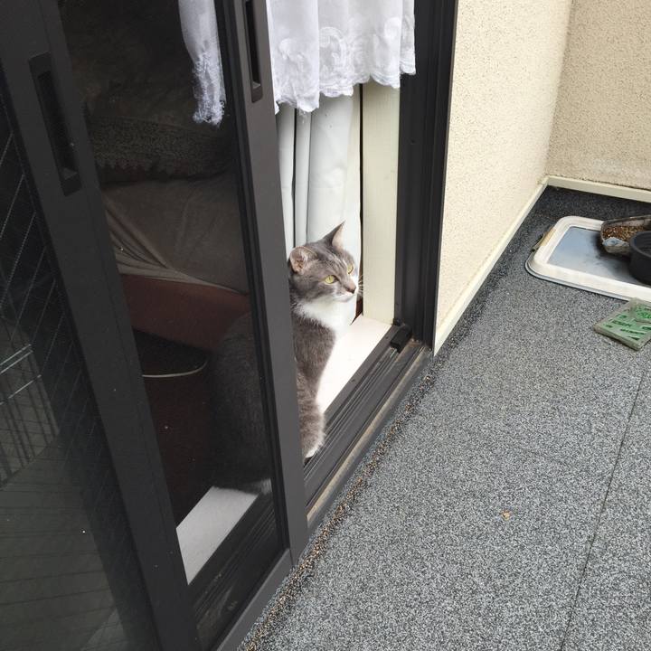 8eb14d91 19c0 44ac a32c 2fa93e70cd1b