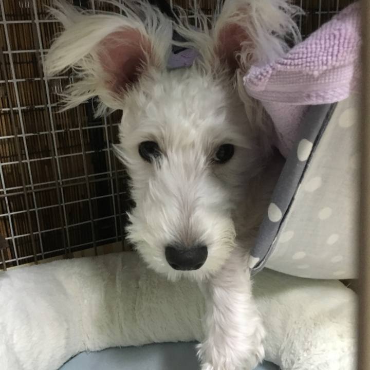 8eb1afd5 455e 404f 8212 d497b74a73e1