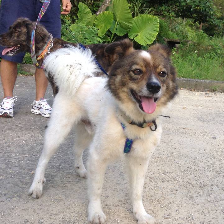 8eb1cb7f 1f95 4d3e 8a5d 532053e56bae