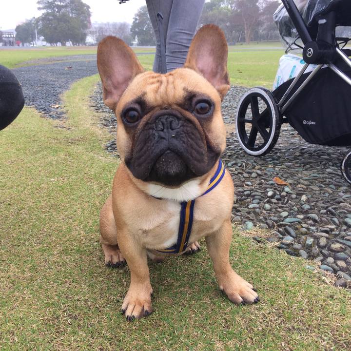 8eb25b94 6816 4d08 823e a0520a3ab7ec