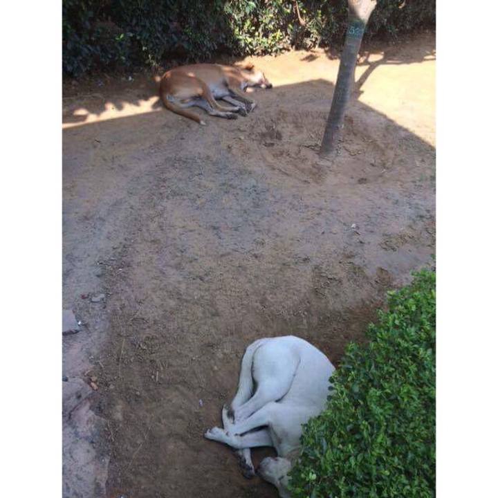 8eb2acc6 7338 4840 aeac 8a76cfcb5b09