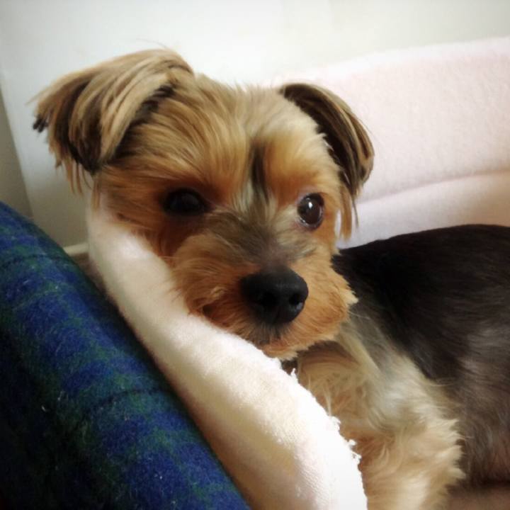 8eb2b43b ec27 44c5 80af eca7ca1346d7