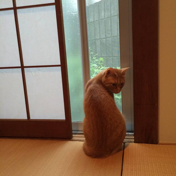 8eb2fbe9 e922 4ffa 9d00 40a22a310453