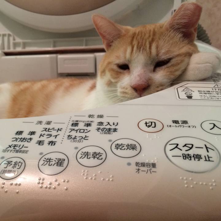 8eb38c0d ebc6 4013 8ef5 b17346721fd1