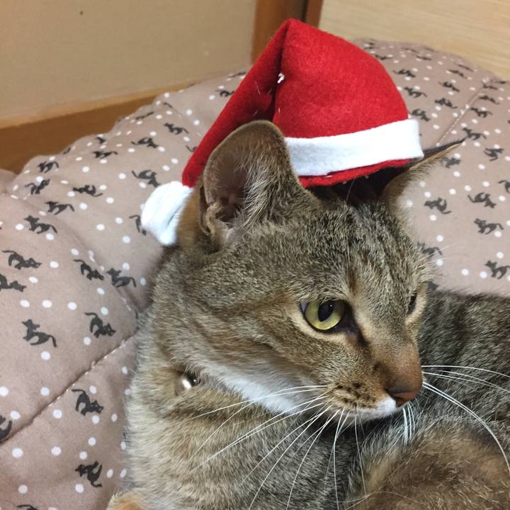 8eb44639 11ac 4638 8db3 210f2926997a