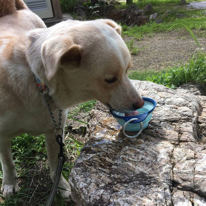 8eb46782 2c93 47a9 8980 56774819e7bd