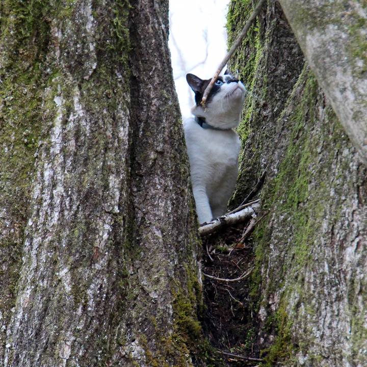 8eb47e36 b225 4103 9e3e edb39a7cedc3