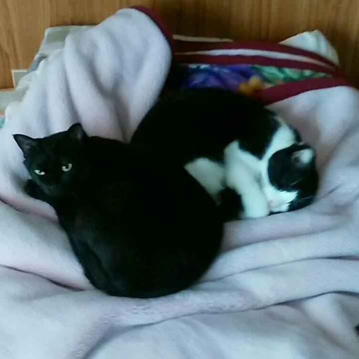 8eb63943 c71d 4431 b44d a781b2df6a64