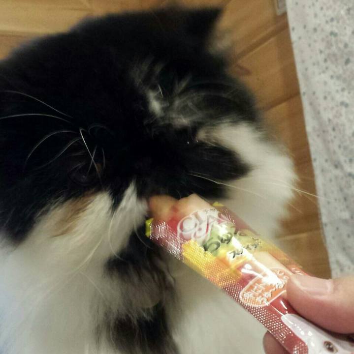 8eb798c2 6f56 4d6b 82a5 4394742e931c