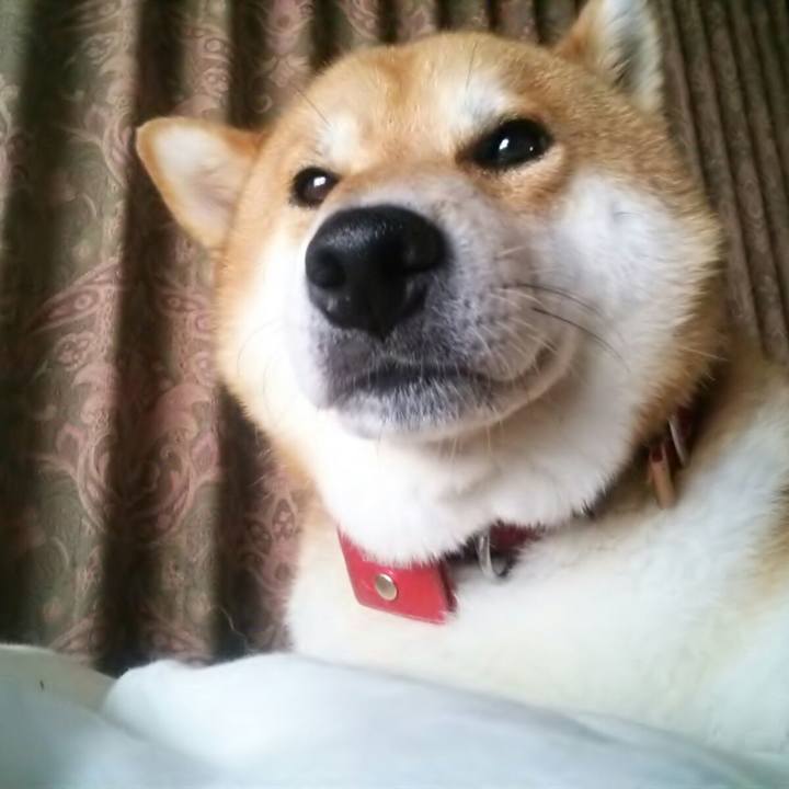 8eb7a0b6 efbf 4185 b70a 2b592bb38cd5