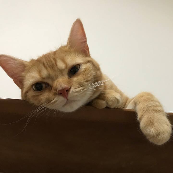 8eb7cf0f 6afd 4712 894a ec9f42caaf3c