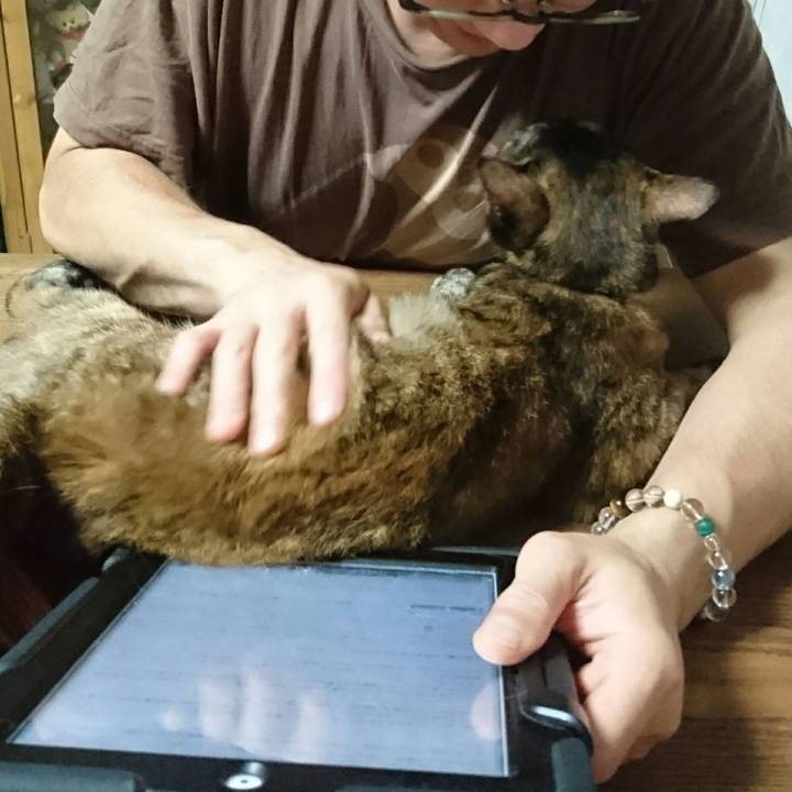 8eb82640 5a55 478e 8bab 95ac9171484e