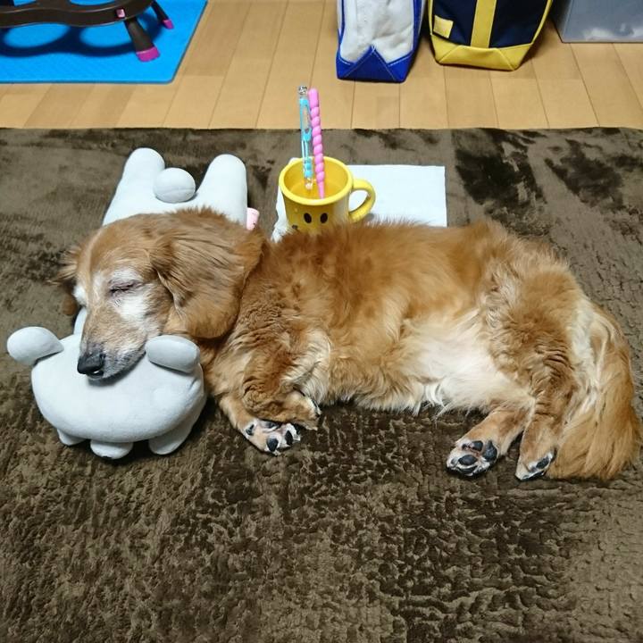 8eb9093a 1522 4147 8cd2 f472629e2ec0