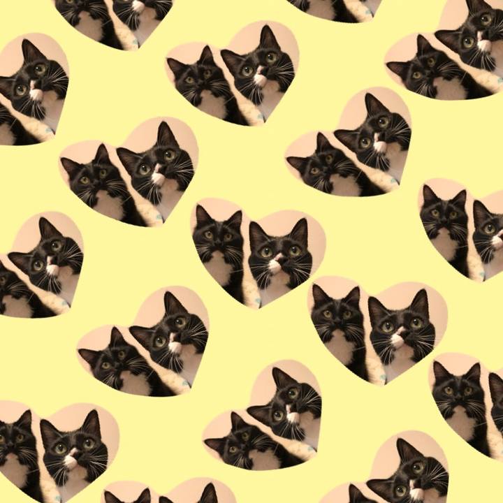 8eb92ca0 0f7d 46fe 83b0 7346ef83f053