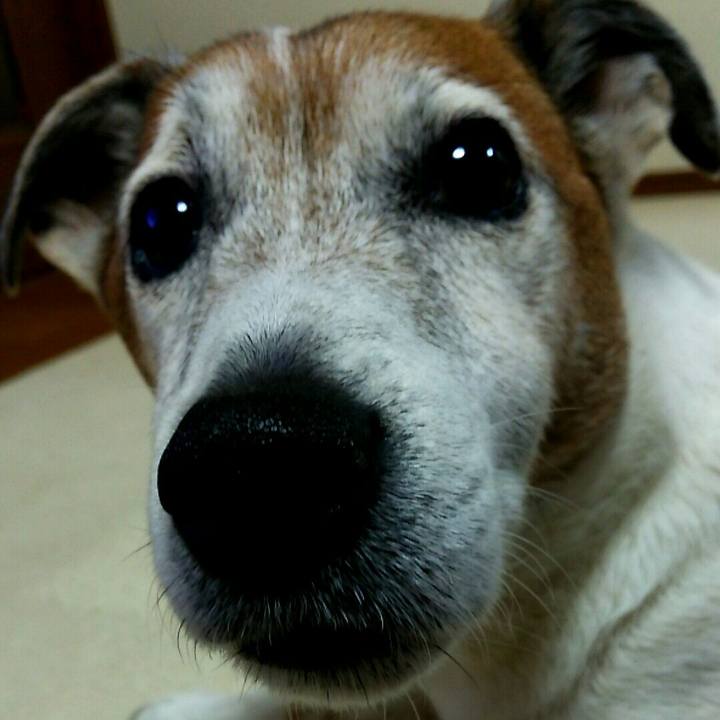 8eb9720a c582 47fd ac54 8fba520c4d0d