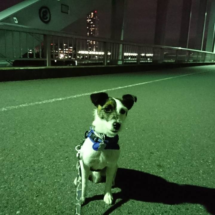 8eb97891 4473 48ce 88ef c49b9d0de2f4