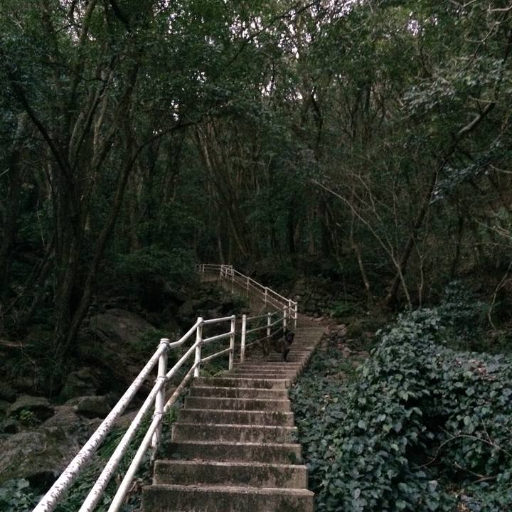 8eb9ad6a 5620 4e5d 8ae8 0e4255abdbdb