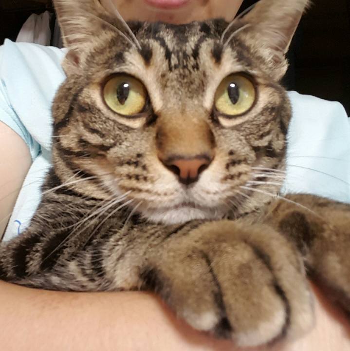 8eb9bc00 b74a 4fb2 a442 3ca98913bcad