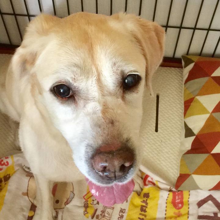 8eba62a7 c5a6 48bc 93fb 7b59c758f323